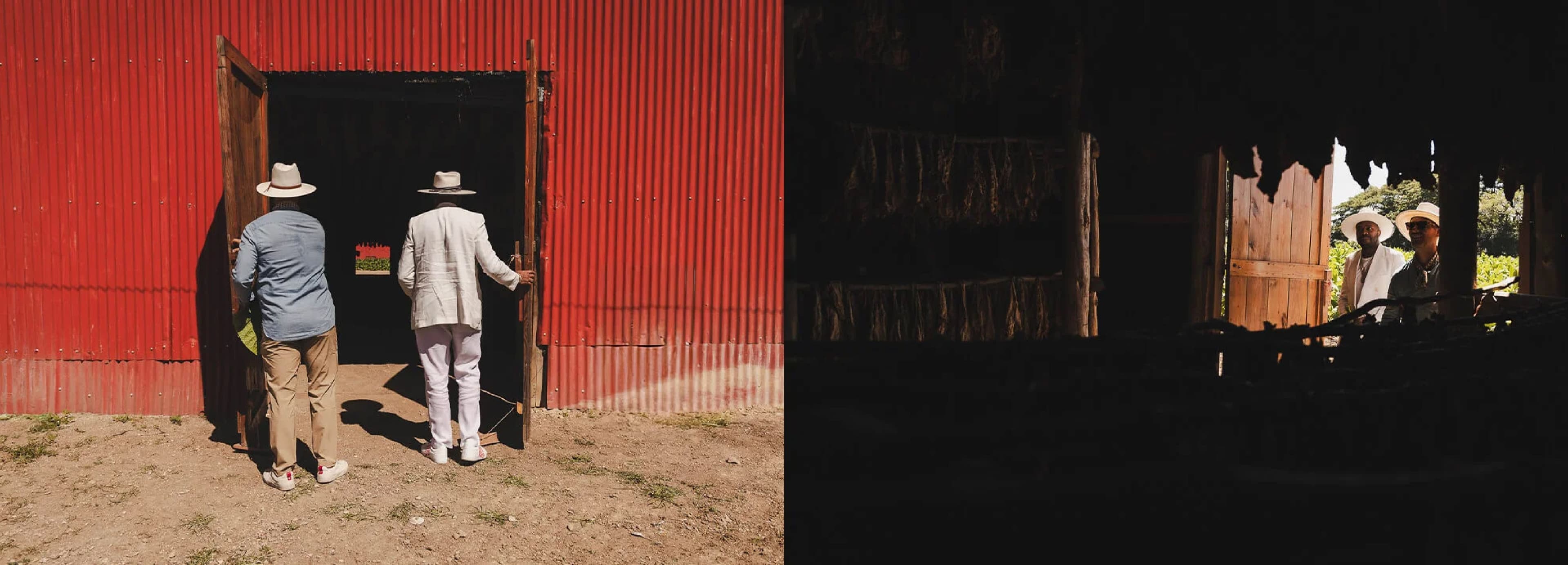 D-Nice Avo Expression