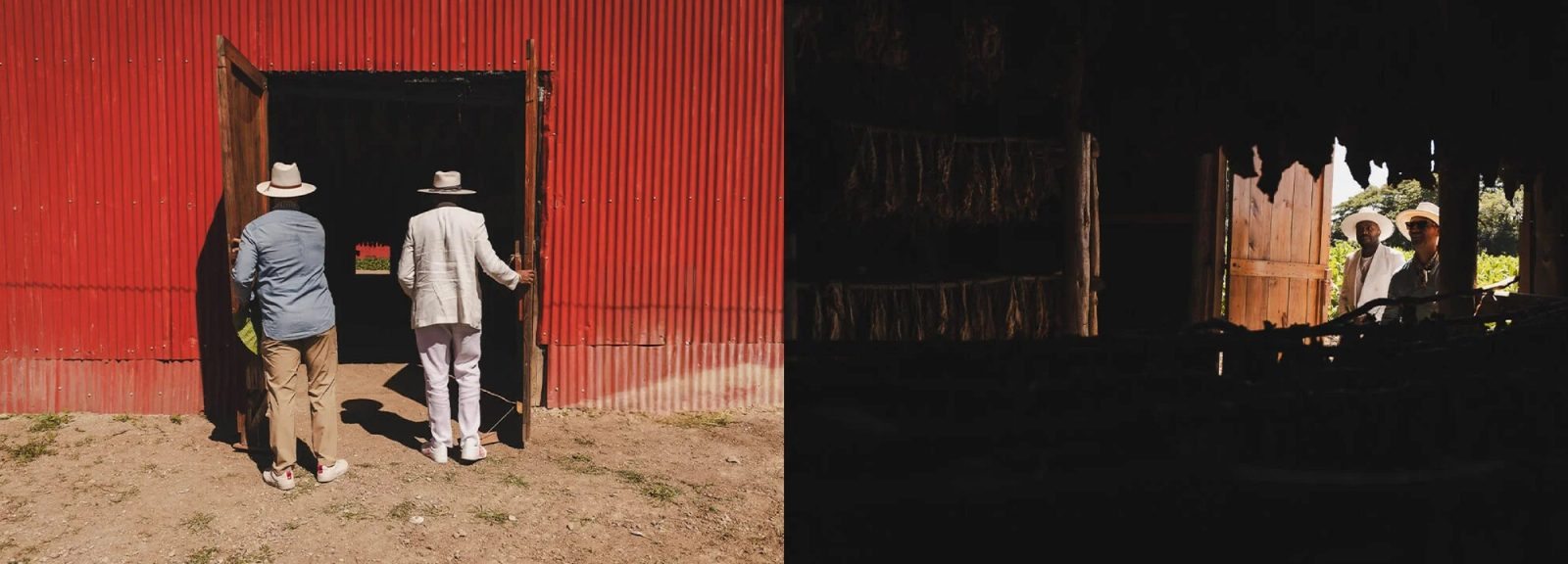 D-Nice Avo Expression