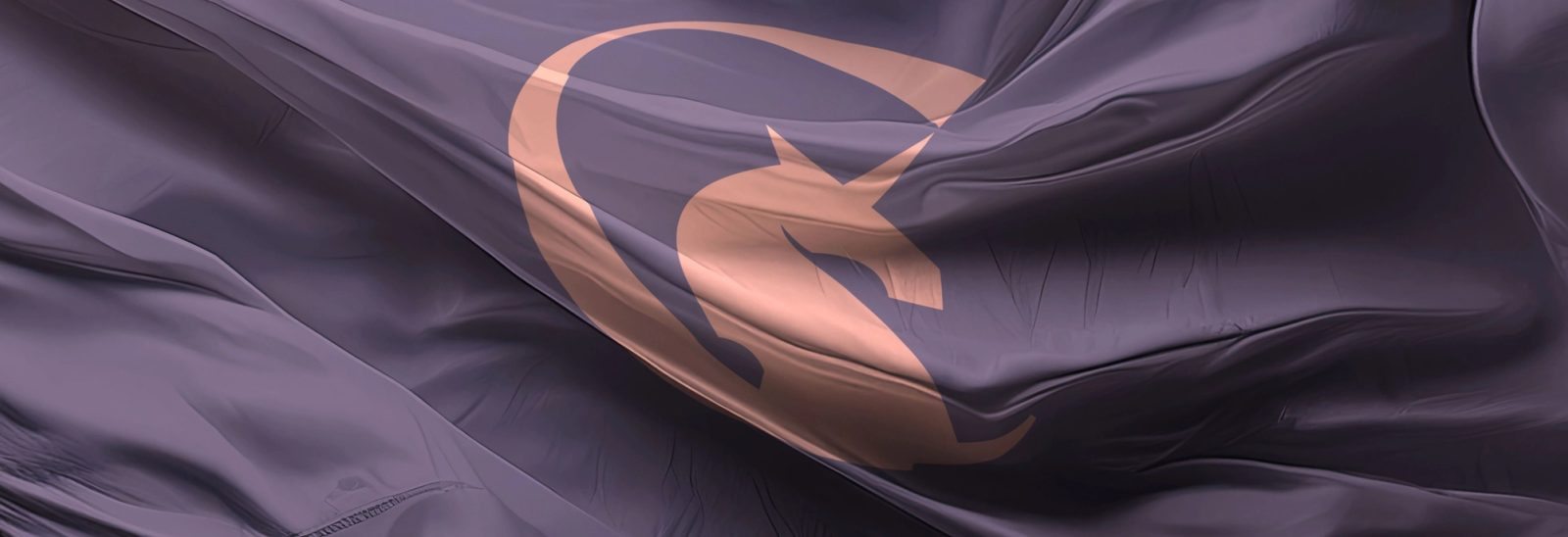 Carousel Club Flag