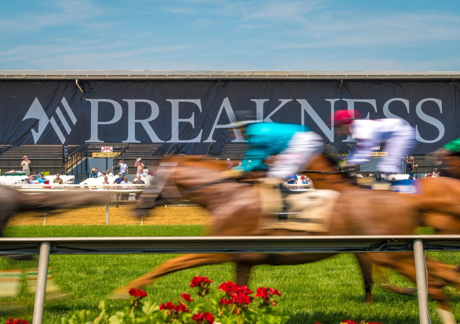 Preakness Live Race
