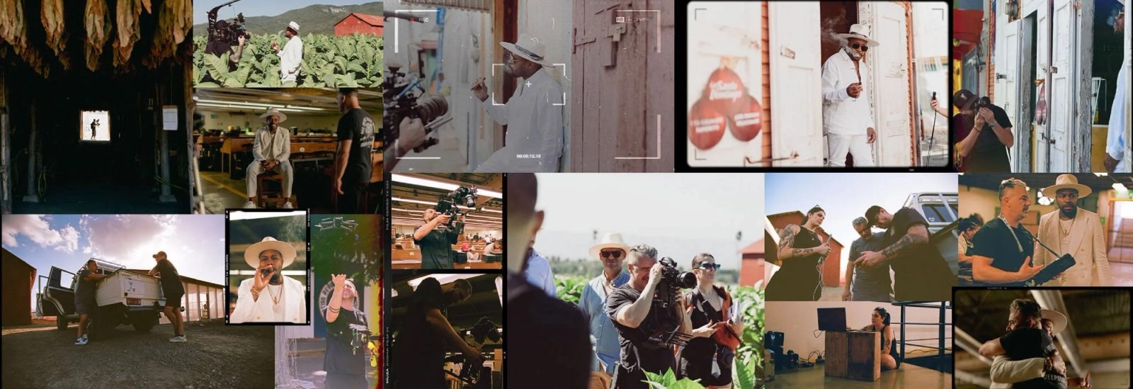 AVO Expressions campaign mood board and visual references