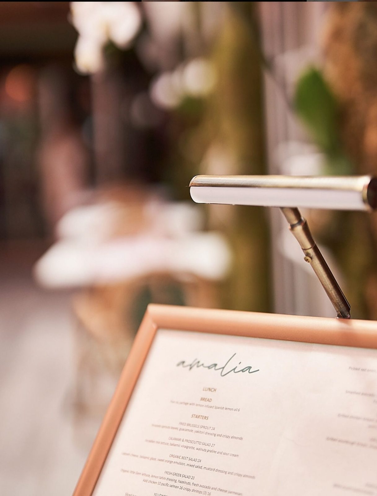 Amalia Exterior Menu