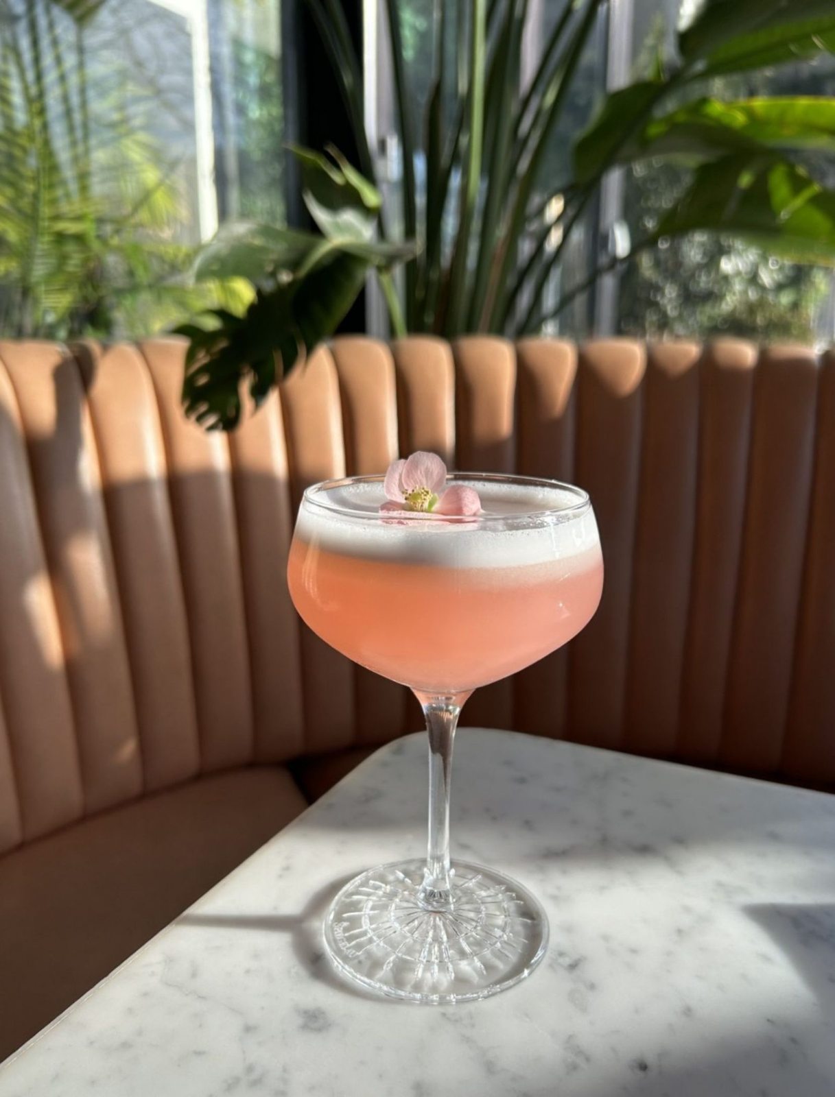 The Pembroke Drink