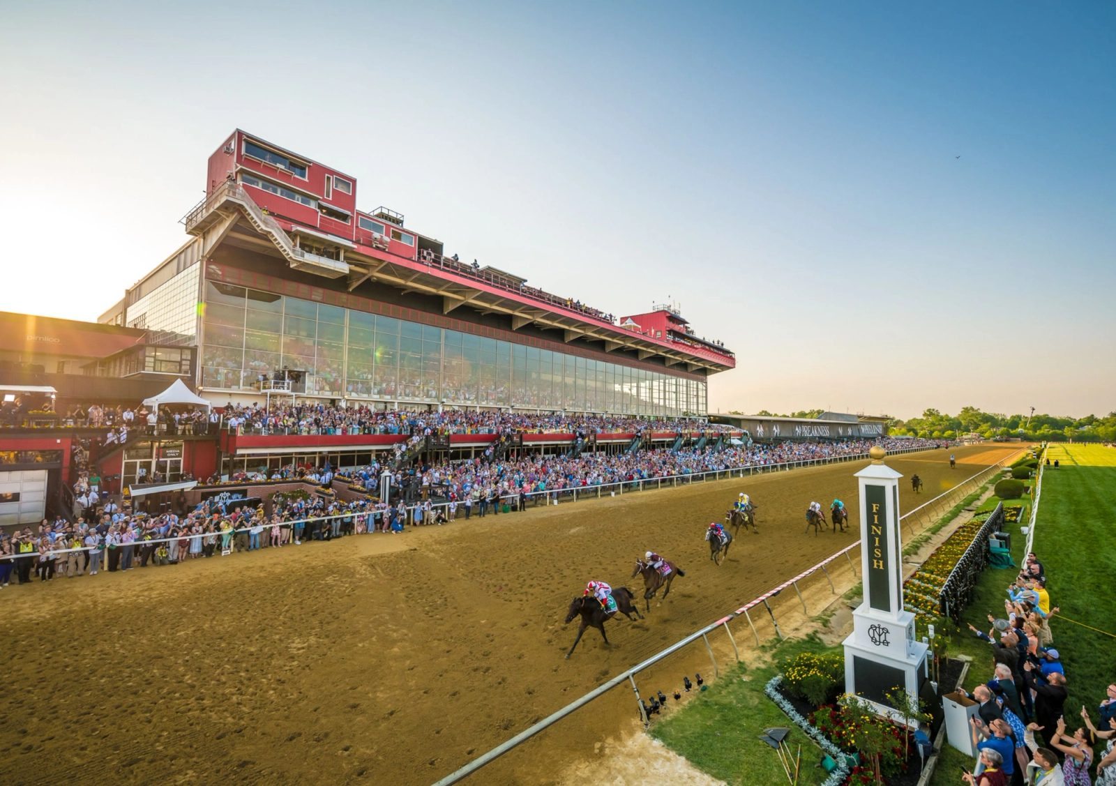 Preakness Live Race