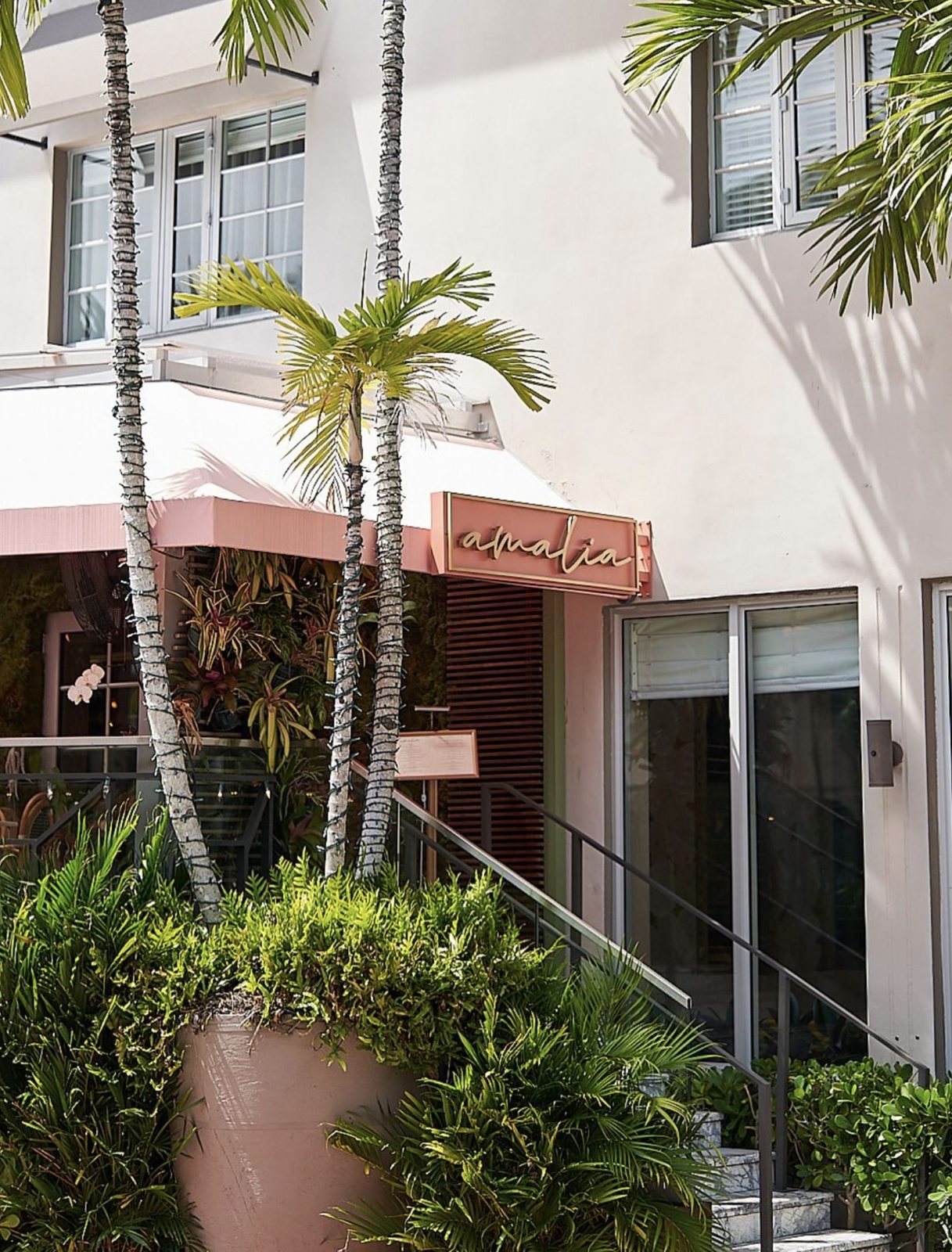 Amalia Exterior